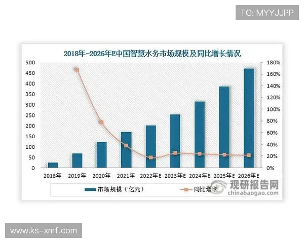 西汉姆联俱乐部的辉煌历程与未来发展潜力分析 西汉姆联俱乐部的辉煌历程与未来发展潜力分析